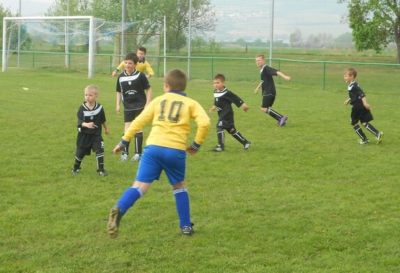 (140419) Šakvice-pripr 1:8 3