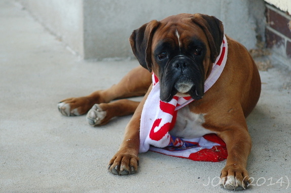 (140615) Lan-Rakvice 1:2 7