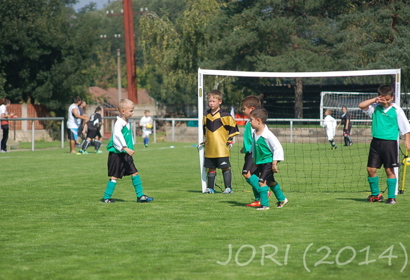 (140920)mladší přípravka-V.Pavlovice 0:9 6