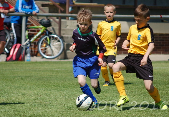 (160430) ml.přípr. - Valtice 4