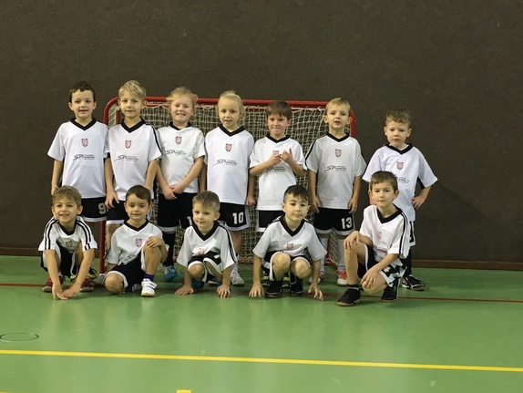 Halový turnaj MINI přípravky - Lanžhot 12