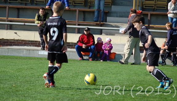 (131019) pripr-Perna 16:0 2