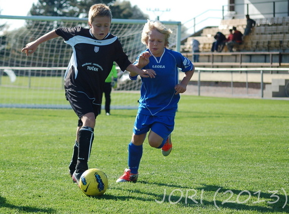 (131019) pripr-Perna 16:0 4