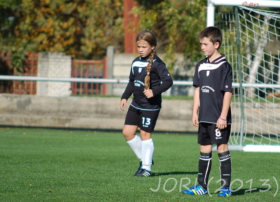 (131019) pripr-Perna 16:0 13