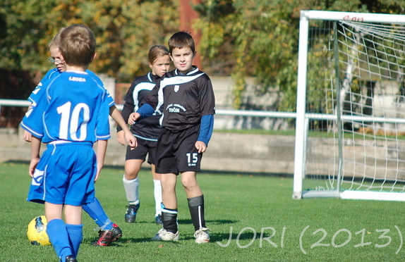 (131019) pripr-Perna 16:0 15