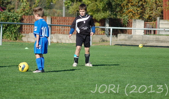 (131019) pripr-Perna 16:0 16