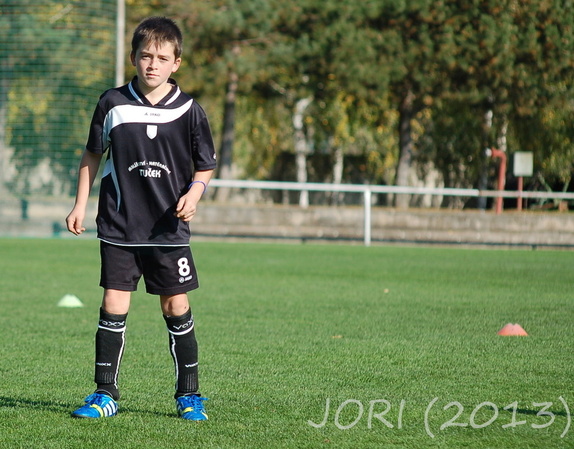 (131019) pripr-Perna 16:0 20